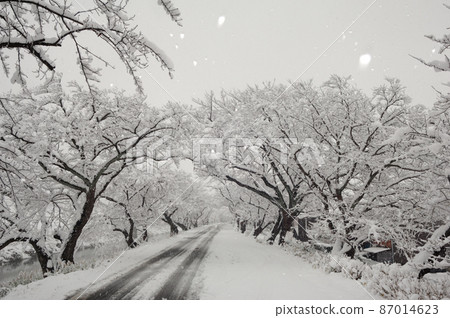 Snow scene Snow scene 87014623
