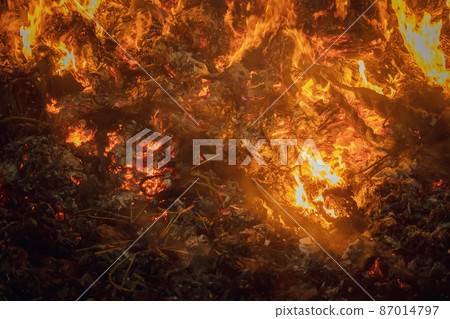 Burning bonfire flame Burning bonfire flame 87014797