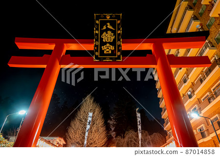 Torii of Osaki Hachimangu Shrine (Sendai City, Miyagi Prefecture) 87014858