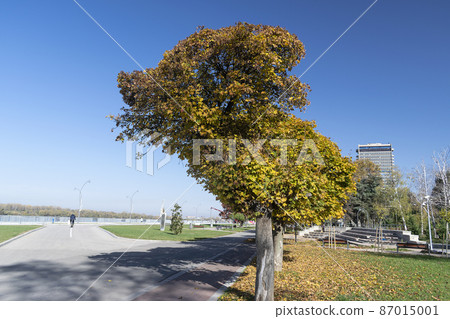 Travelling to Ruse, near the river Danube, one beautiful town in Bulgaria Travelling to Ruse, near the river Danube, one beautiful town in Bulgaria 87015001