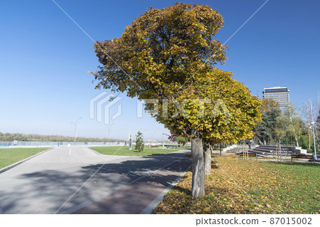 Travelling to Ruse, near the river Danube, one beautiful town in Bulgaria Travelling to Ruse, near the river Danube, one beautiful town in Bulgaria 87015002