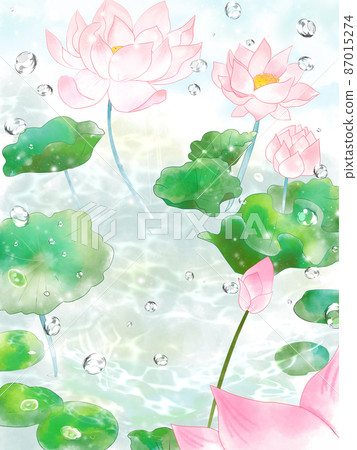 Lotus flower background Lotus flower background 87015274