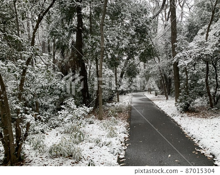 Winter scenery 87015304