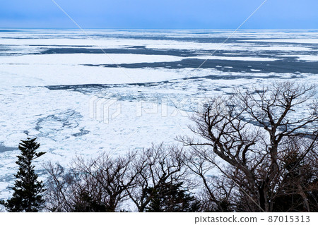 The sea where drift ice comes 87015313