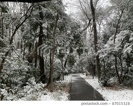 冬天的景色 87015328