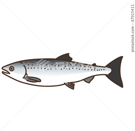 Illustration of sea creatures, marine products, salmon Illustration of sea creatures, marine products, salmon 87015411