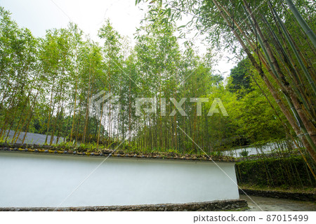 台灣，高山湖泊，明池，竹林，瓦牆，台湾、高山湖、明池、竹林、タイル張りの壁，Bamboo fores 87015499