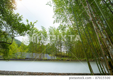 台灣,高山湖泊,明池,竹林,瓦牆,台湾、高山湖、明池、竹林、タイル張りの壁,Bamboo fores 台灣,高山湖泊,明池,竹林,瓦牆,台湾、高山湖、明池、竹林、タイル張りの壁,Bamboo fores 87015500