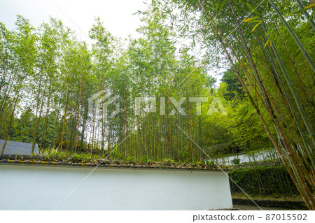 台灣,高山湖泊,明池,竹林,瓦牆,台湾、高山湖、明池、竹林、タイル張りの壁,Bamboo fores 台灣,高山湖泊,明池,竹林,瓦牆,台湾、高山湖、明池、竹林、タイル張りの壁,Bamboo fores 87015502