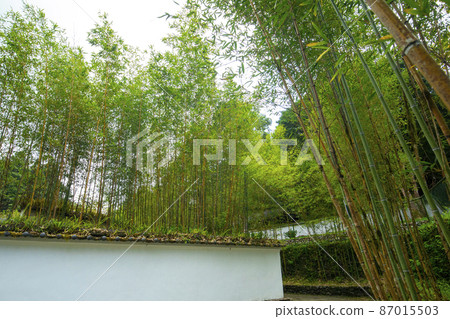 台灣,高山湖泊,明池,竹林,瓦牆,台湾、高山湖、明池、竹林、タイル張りの壁,Bamboo fores 台灣,高山湖泊,明池,竹林,瓦牆,台湾、高山湖、明池、竹林、タイル張りの壁,Bamboo fores 87015503