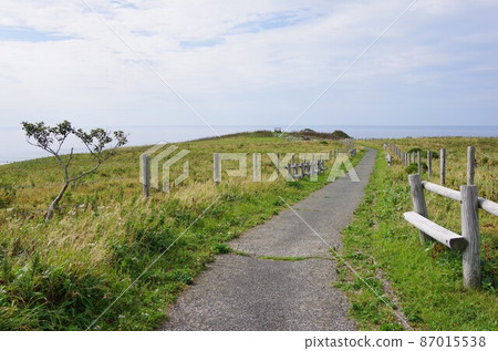 北海道厚岸町Ayamegahara 通往Chimbeno鼻子的人行道 北海道厚岸町Ayamegahara 通往Chimbeno鼻子的人行道 87015538