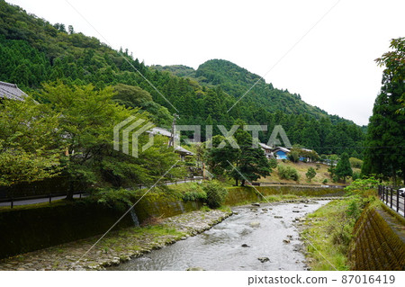 鸕鶿的淺灘 87016419