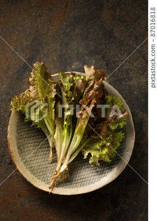Healthy Organic Salad with Anthocyanin Healthy Organic Salad with Anthocyanin 87016818
