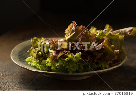 Delicious Salad with Anthocyanin Delicious Salad with Anthocyanin 87016819