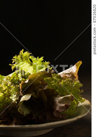 Salad with Anthocyanin Salad with Anthocyanin 87016820