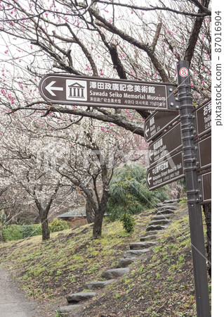 伊豆半島靜岡縣熱海市熱海梅園（梅林）的梅子 87016904