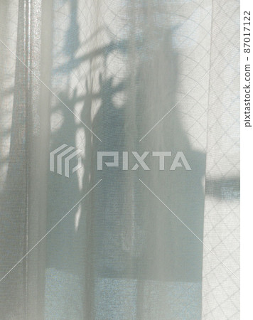 蕾絲窗簾上洗衣房的影子 87017122