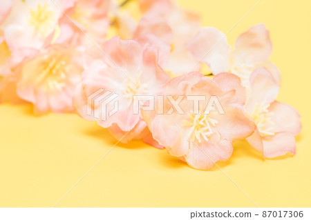 [Background material] Spring cherry blossoms 87017306