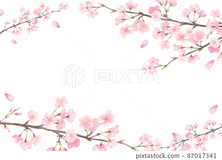 Watercolor style cherry blossom frame Watercolor style cherry blossom frame 87017341