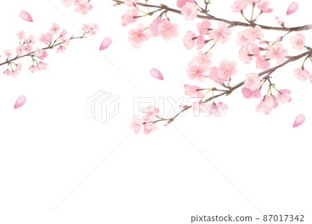 Watercolor style cherry blossom frame 2 Watercolor style cherry blossom frame 2 87017342