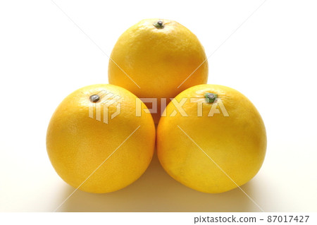 柚子 柚子 87017427