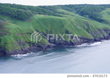 從北海道厚岸町綾目原眺望東海岸 從北海道厚岸町綾目原眺望東海岸 87018173