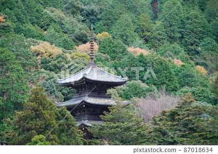 [瀨戶內33觀音聖地]第10號國家重要文化財產福勝寺三寶塔初冬風景岡山縣備前市12 87018634