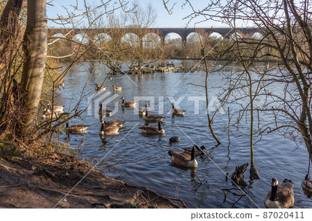 Railway viaduct at Reddish Vale, Cheshire, UK. Railway viaduct at Reddish Vale, Cheshire, UK. 87020411