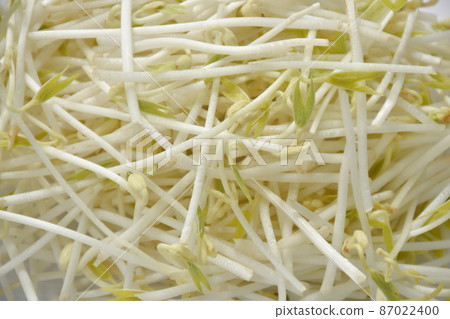 fresh bean sprout raw food arranging on white background 87022400