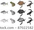 魚、兩棲動物和爬行動物的插圖集 87022582