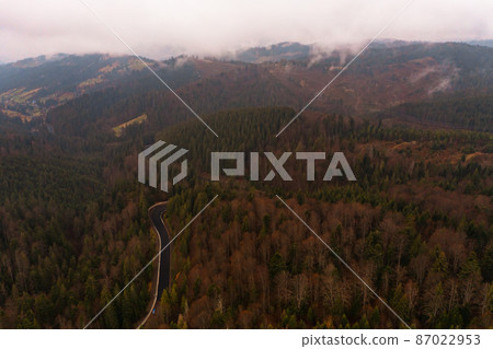 Synevyrska Polyana Natural Ukrainian National Park, coniferous evergreen forests, nature conservation and forest belt restoration. Synevyrska Polyana Natural Ukrainian National Park, coniferous evergreen forests, nature conservation and forest belt restoration. 87022953