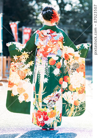 The back of a woman wearing a kimono 87023507