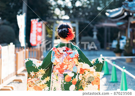 The back of a woman wearing a kimono The back of a woman wearing a kimono 87023508