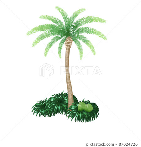 Palm tree Palm tree 87024720