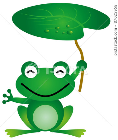 Tree frog 87025958