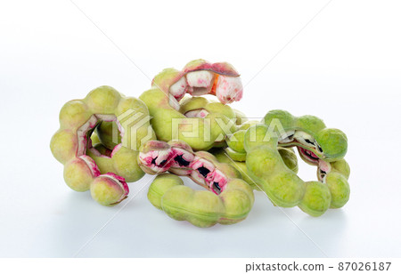 Manila tamarind fruit. Manila tamarind (Pithecellobium dulce) 87026187