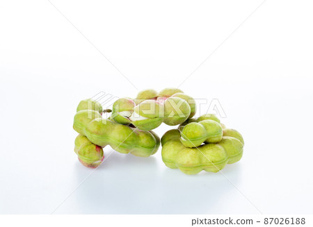 Manila tamarind fruit. Manila tamarind (Pithecellobium dulce) 87026188