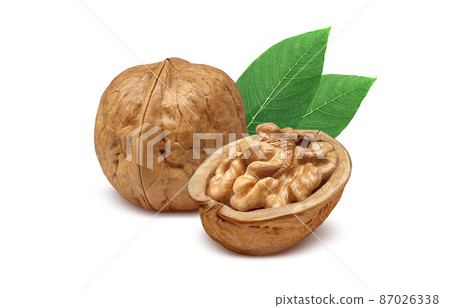 Walnut walnut walnut illustration real set Walnut walnut walnut illustration real set 87026338