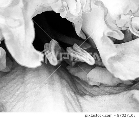 Bouquet wildflowers close up blooming in garden 87027105