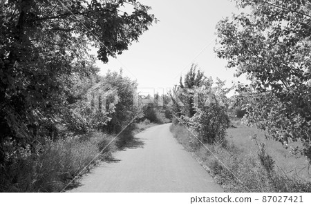 Beautiful empty asphalt road in countryside on colored background 87027421