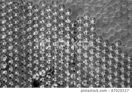 Drop of bee honey drip from hexagonal honeycombs 87028327