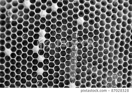 Drop of bee honey drip from hexagonal honeycombs 87028328