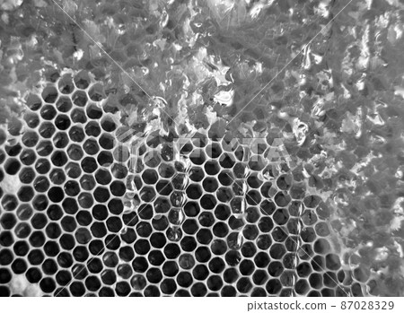 Drop of bee honey drip from hexagonal honeycombs 87028329