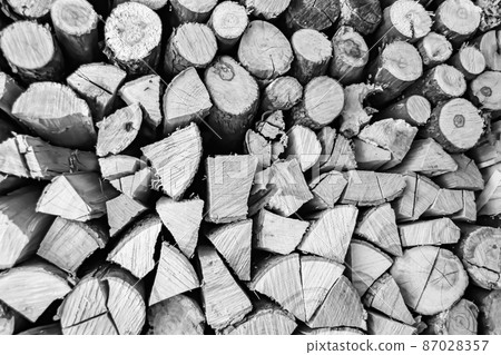 Photography on theme big wall of stacked oak tree logs in cracks Photography on theme big wall of stacked oak tree logs in cracks 87028357