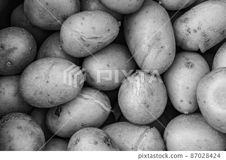 Photography to theme large beautiful baked plain potato 87028424