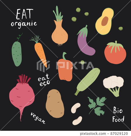 Vegetables seamless pattern. Vegetarian healthy bio food background, Vegan organic eco products pepper, tomato, cucumber, carrot, potato, avocado, beans and peas. Vector illustration 87029120
