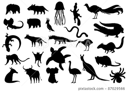 Silhouette animals of australia. Nature fauna collection. Geographical local fauna. Mammals living on continent. Vector illustration 87029566