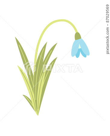 Spring flower. Botanical floral icon design. Garden plant on white background. Colorful flat vector illustration. Good decoration for wedding invitation or scrapbook 87029569