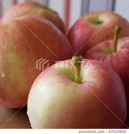 A few ripe striped apples, a close-up shot. Apples of the gala and Ligol varieties. A few ripe striped apples, a close-up shot. Apples of the gala and Ligol varieties. 87029808