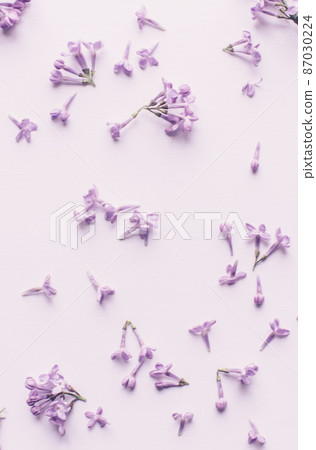Spring flowers. Lilac flowers petals on white wooden background. Top view, flat lay 87030224